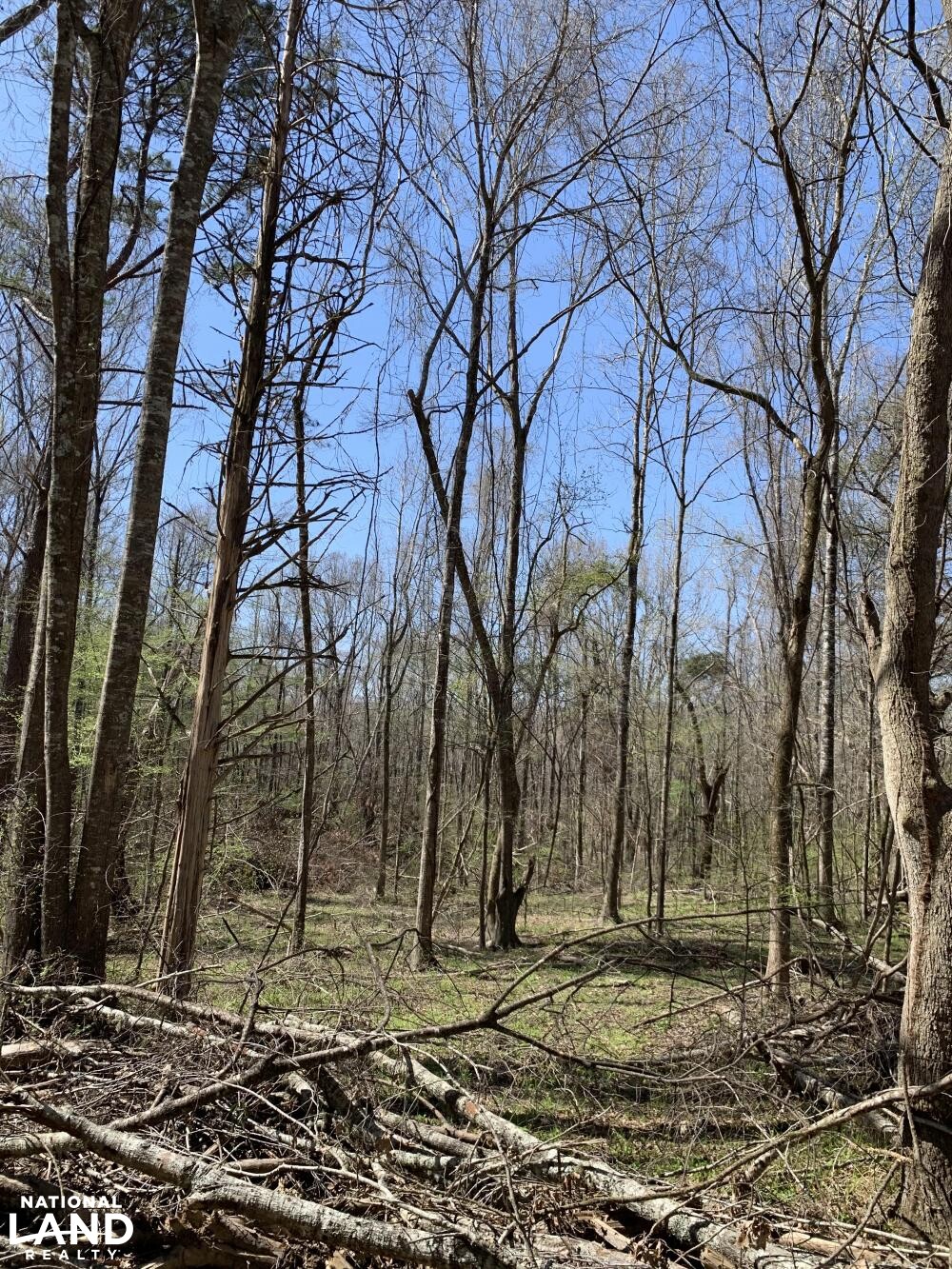 Hollywood Plantation in Adams County, MS (23 of 45)