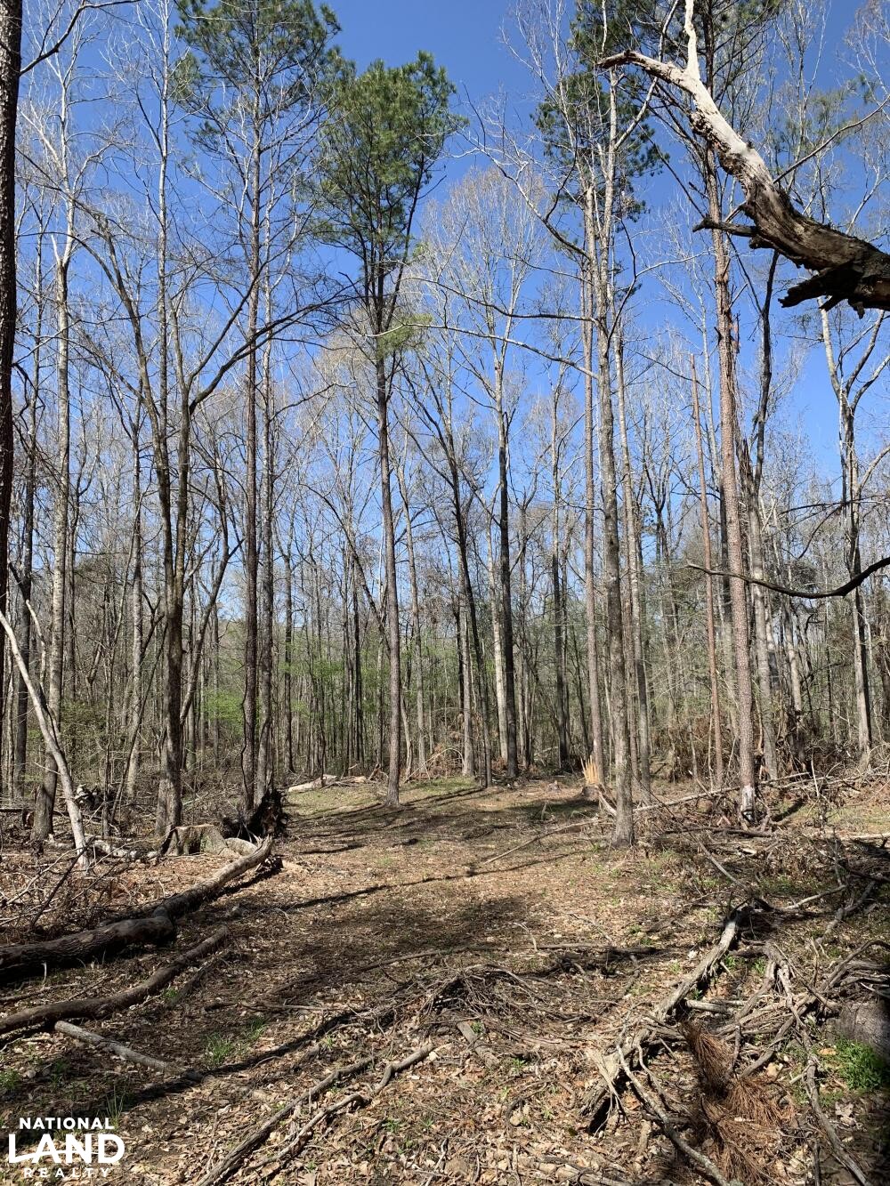 Hollywood Plantation in Adams County, MS (24 of 45)