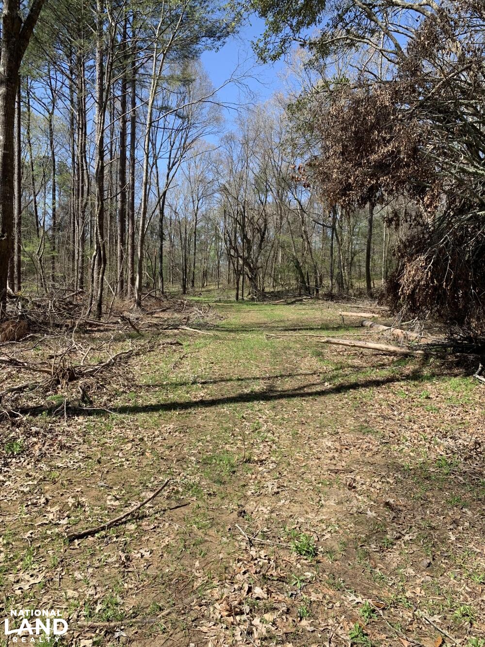 Hollywood Plantation in Adams County, MS (28 of 45)