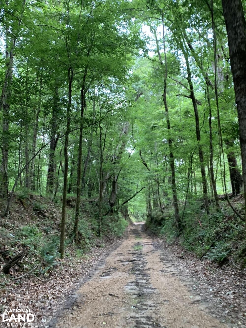 Hollywood Plantation road (8 of 45)