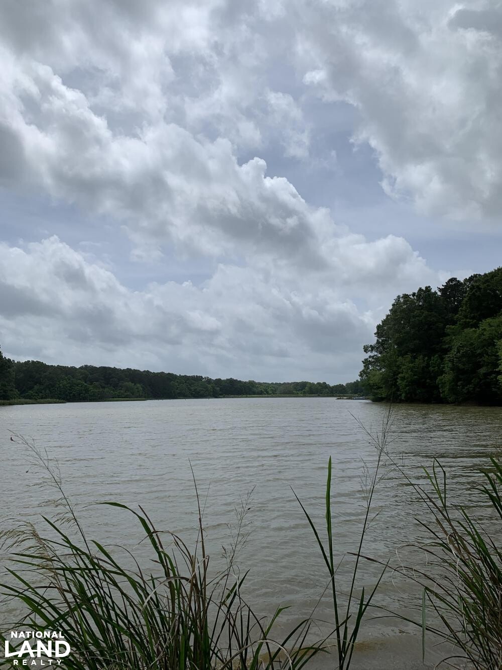 Another campsite view (11 of 45)