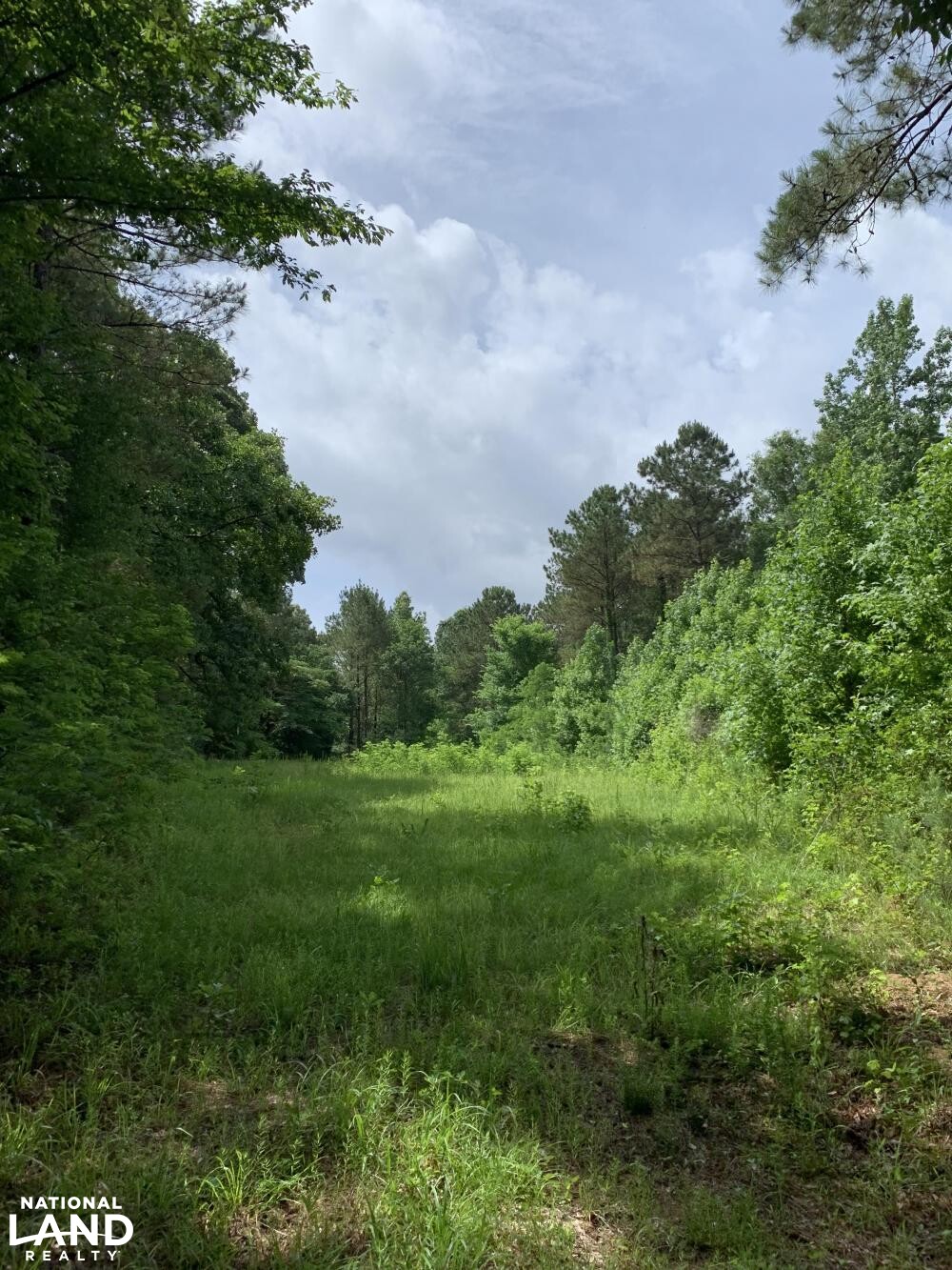 Another food plot location (38 of 45)