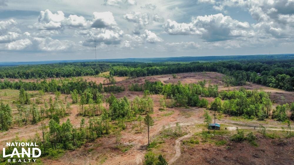 Verbena Land and Hunting Tract in Chilton County, Alabama (18 Photos
