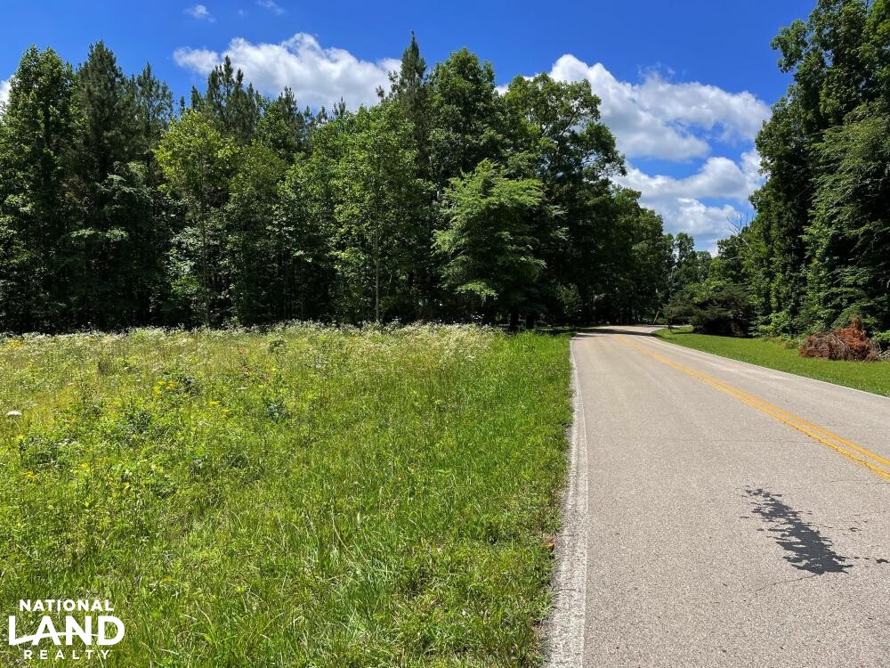 9 Acres Near Buffalo River in Lewis County, Tennessee (8 Photos