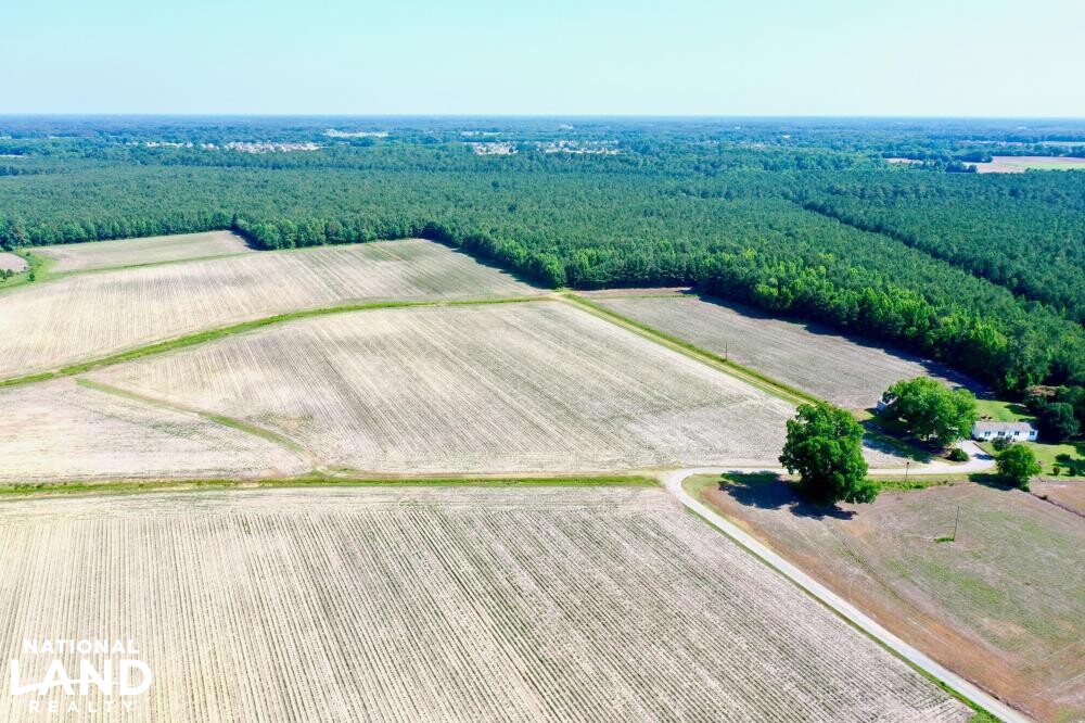 Saulston Rd. Farm in Wayne County, North Carolina (8 Photos) National Land Realty