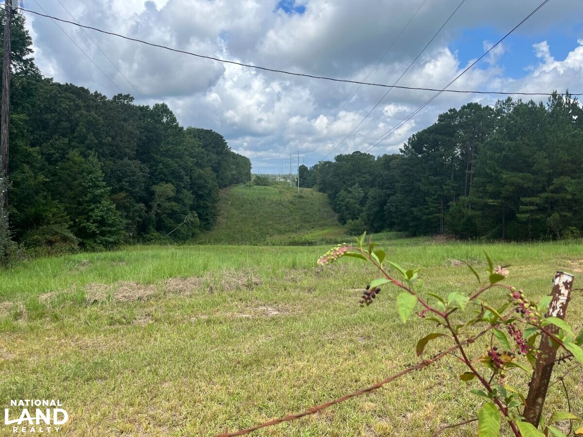 Secluded Cabin With Pond, Creek & Big Timber in Leake County