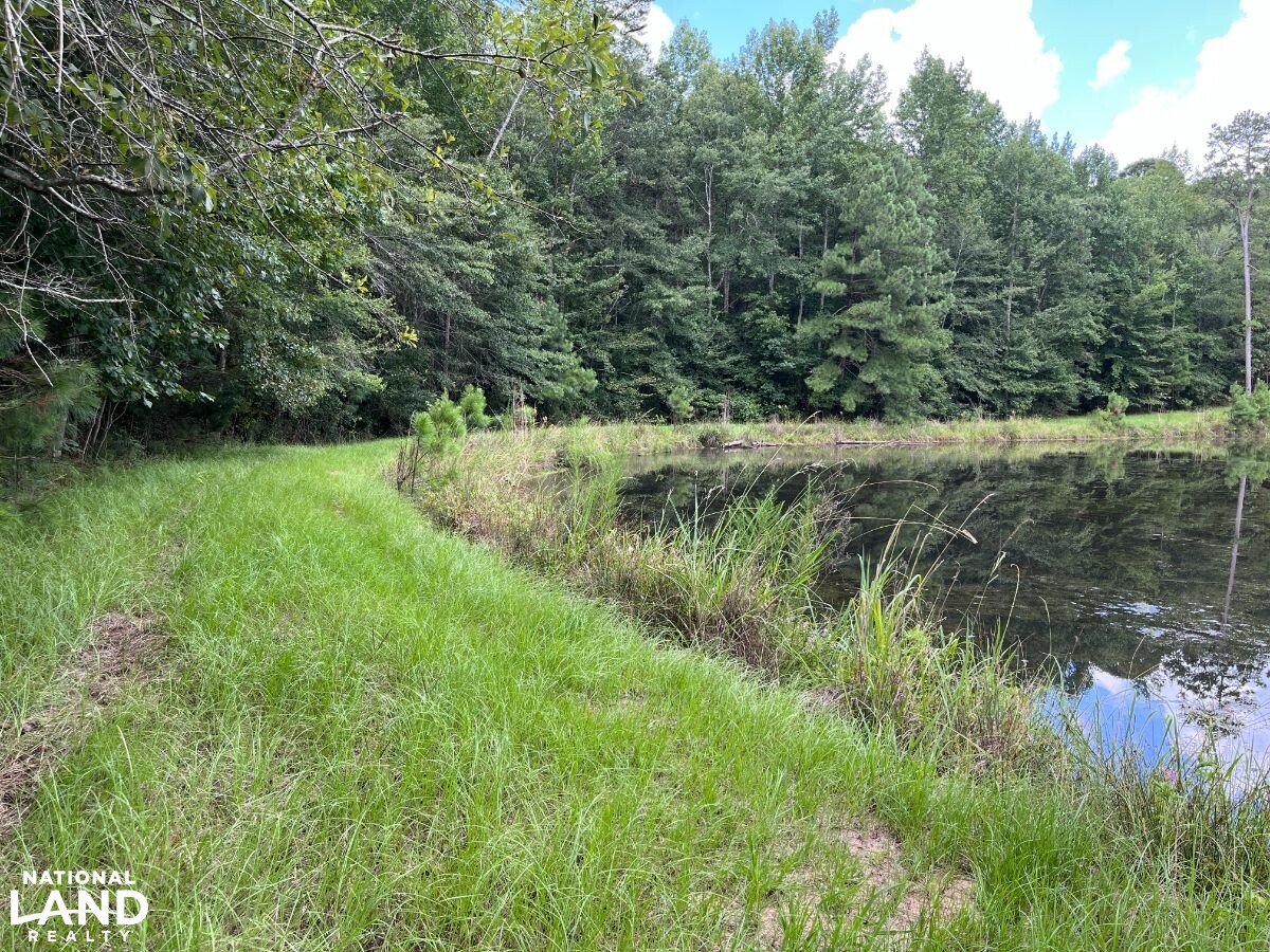 Secluded Cabin With Pond, Creek & Big Timber in Leake County