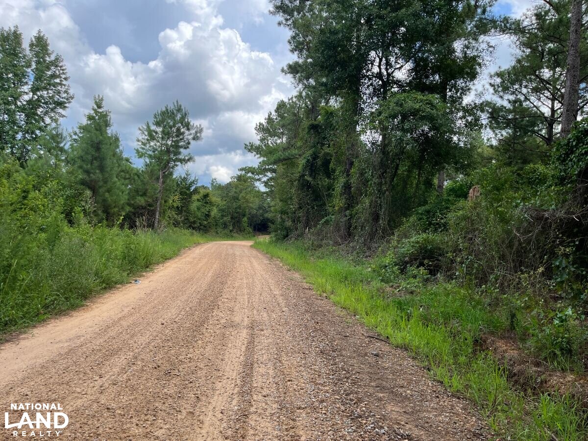 Secluded Cabin With Pond, Creek & Big Timber in Leake County