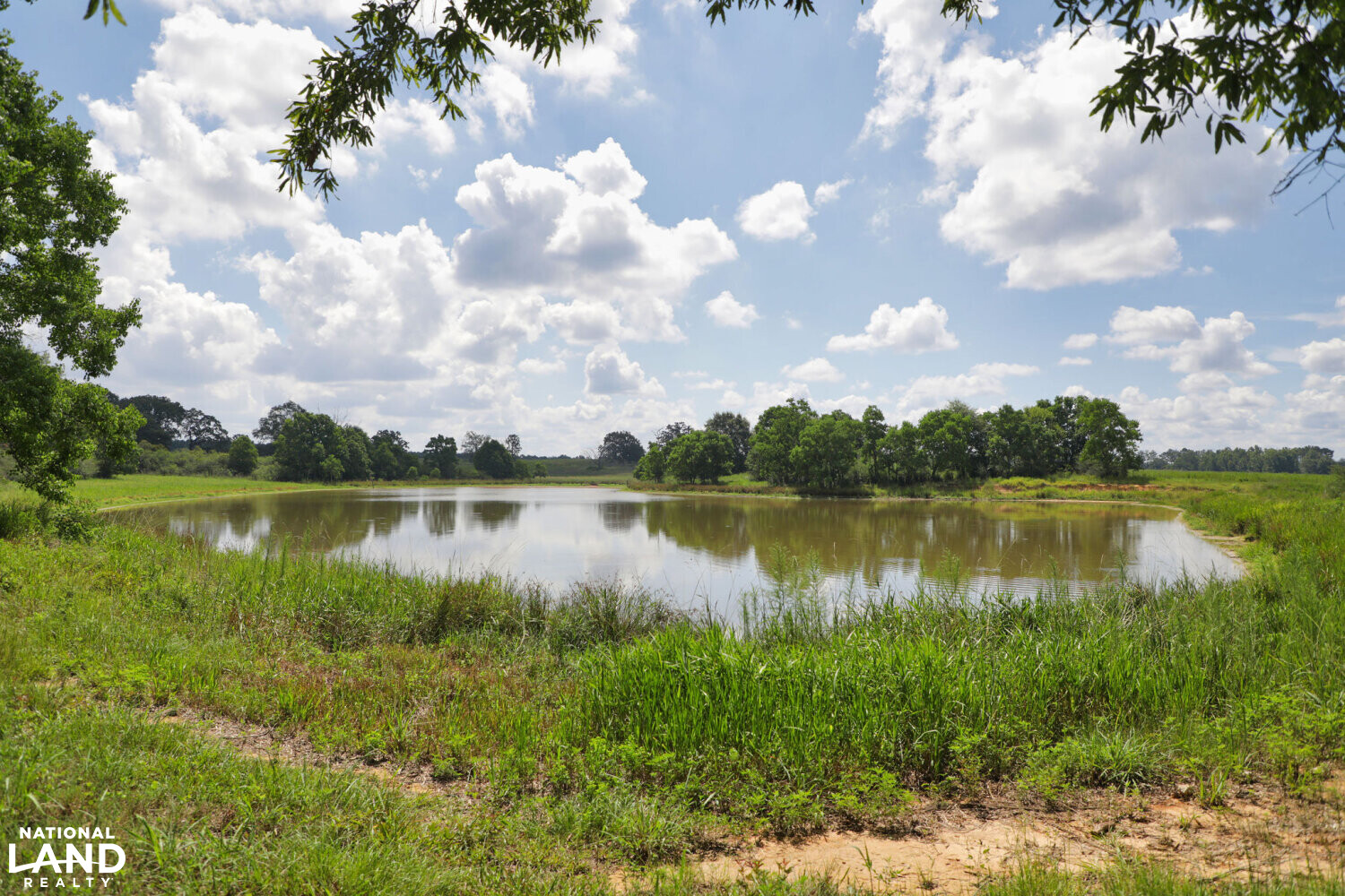 Gulf Coast Pasture Land in Greene County, Mississippi (28 Photos
