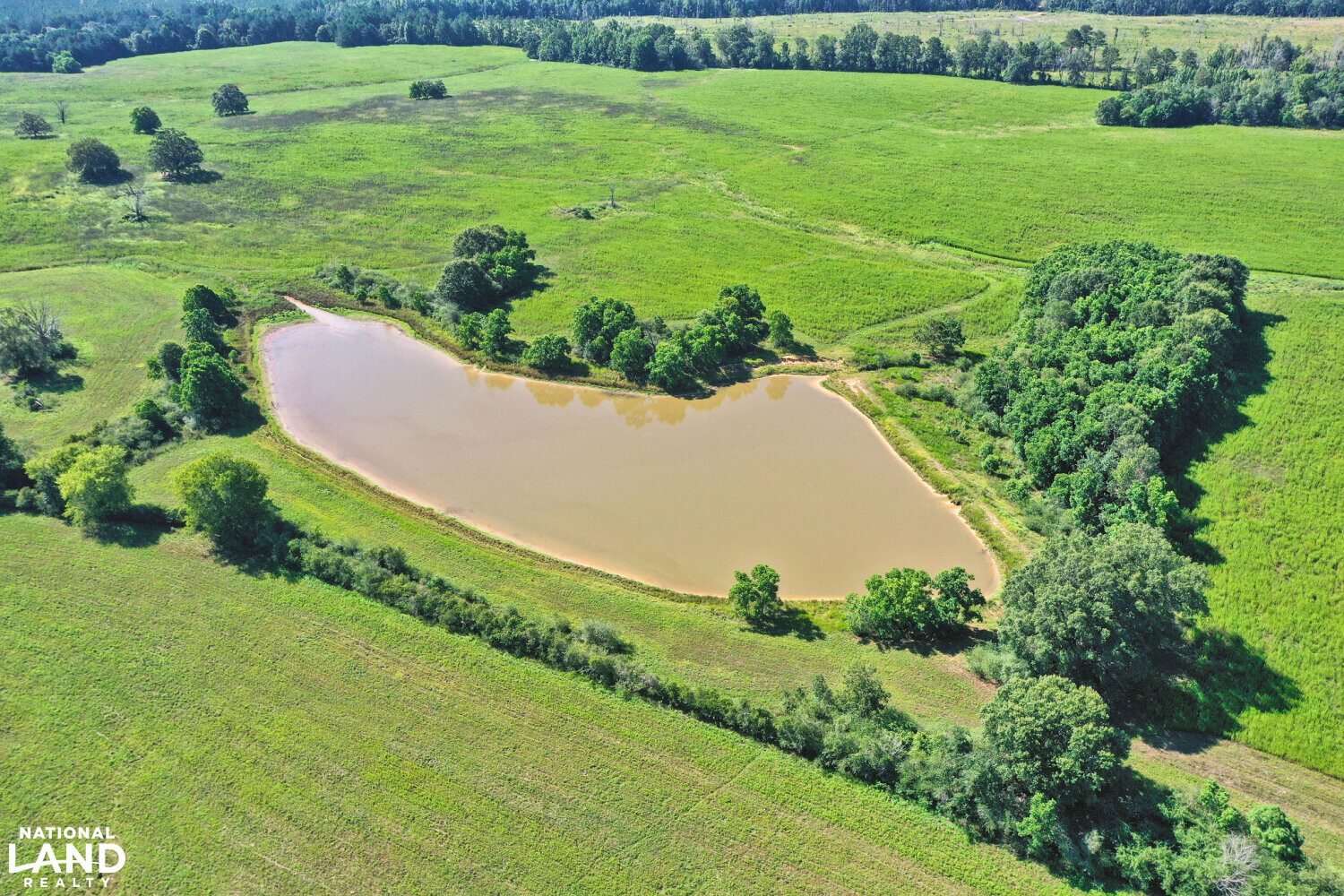 Gulf Coast Pasture Land in Greene County, Mississippi (28 Photos