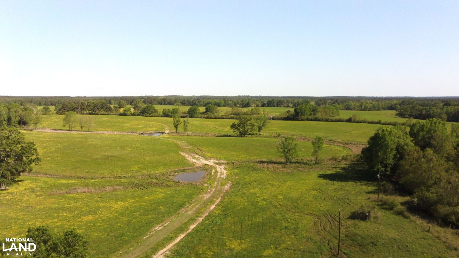 Gulf Coast Pasture Land in Greene County, Mississippi (28 Photos