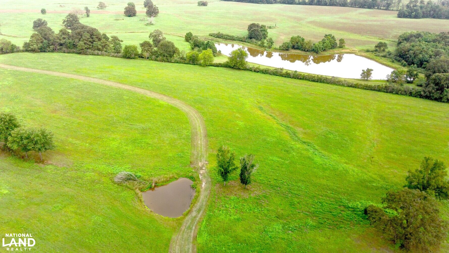 Gulf Coast Pasture Land in Greene County, Mississippi (28 Photos