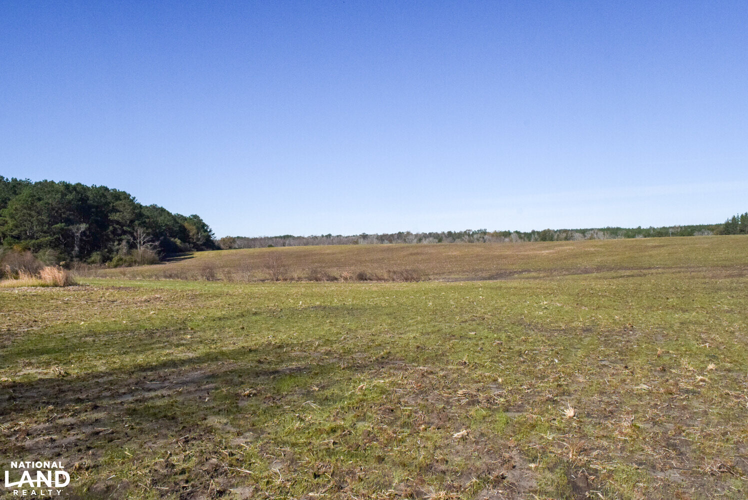 Gulf Coast Pasture Land in Greene County, Mississippi (28 Photos