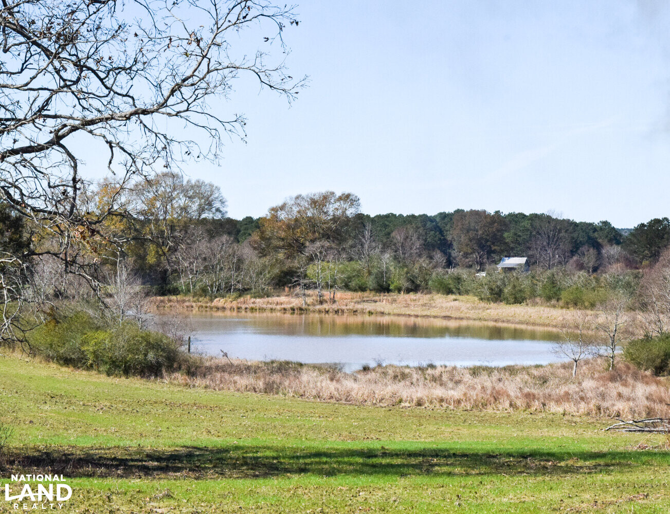 Gulf Coast Pasture Land in Greene County, Mississippi (28 Photos