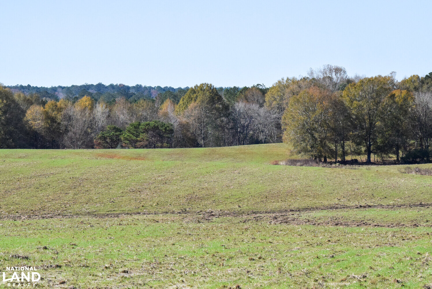 Gulf Coast Pasture Land in Greene County, Mississippi (28 Photos