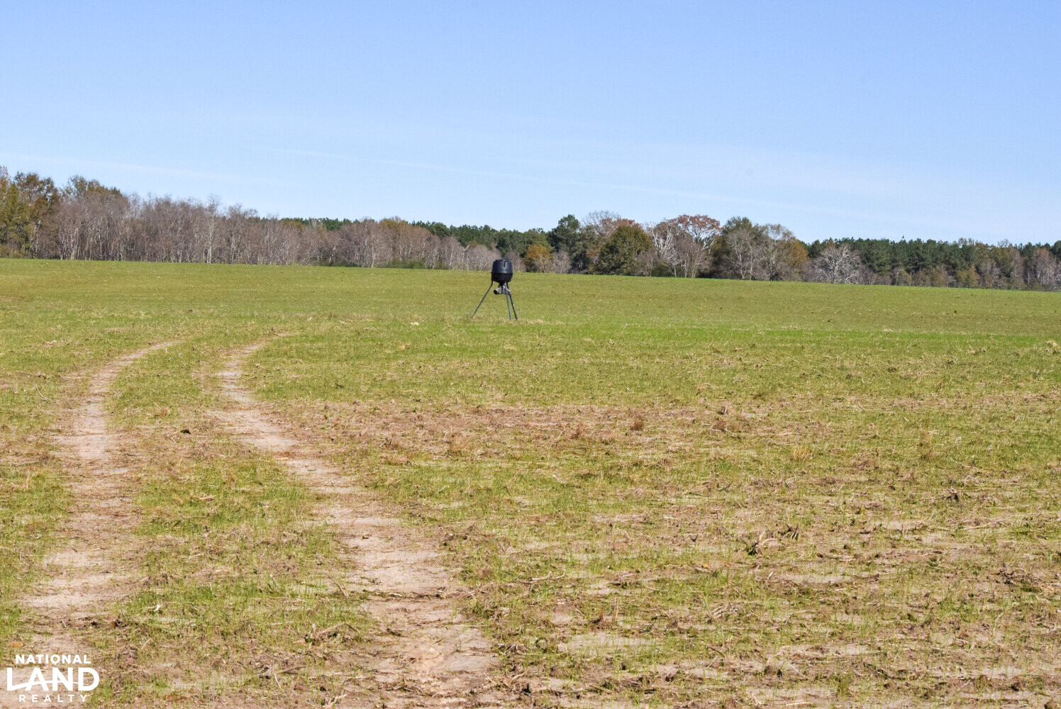 Gulf Coast Pasture Land in Greene County, Mississippi (28 Photos