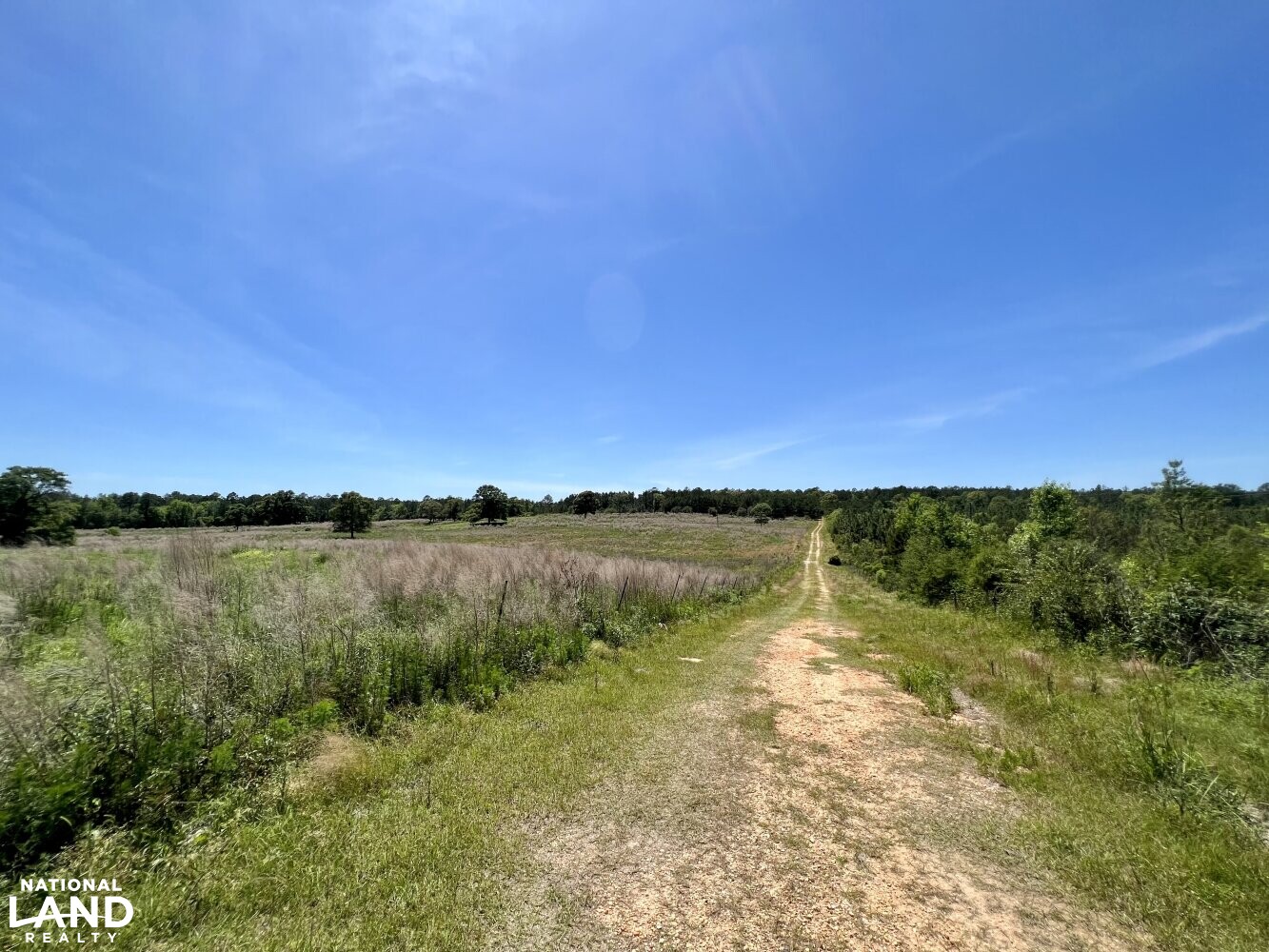 Copeland Lakefront Lodge & Farm in Washington County, Alabama (45