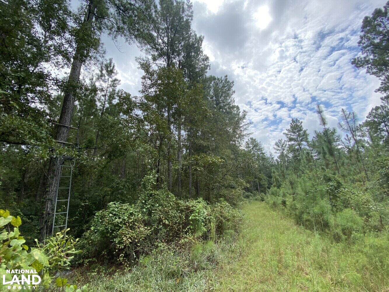 Berrydale Homesite and Recreational Dream in Santa Rosa County, Florida