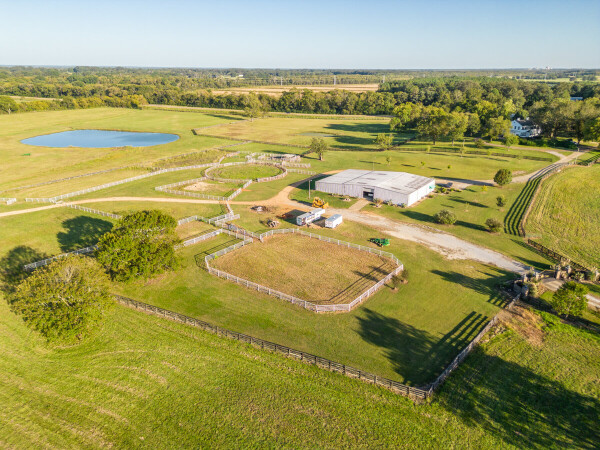 Horse and Cattle Ranch on Motley Creek in Lowndes County, Mississippi ...