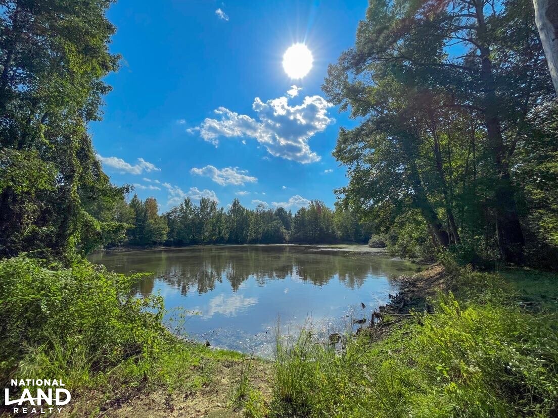 Mulberry Creek Lake Tract in Dallas County, Alabama (5 Photos