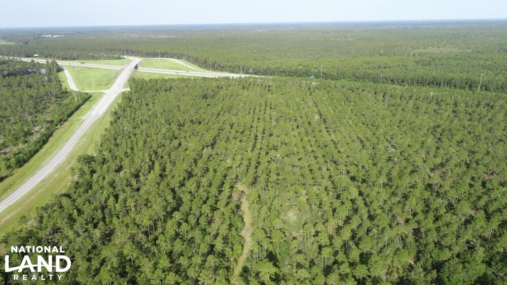 Altamaha Trading Company MultiFamily Site in Glynn County, (89