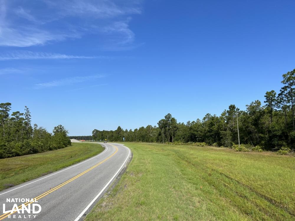 Altamaha Trading Company MultiFamily Site in Glynn County, (89 Photos) National Land