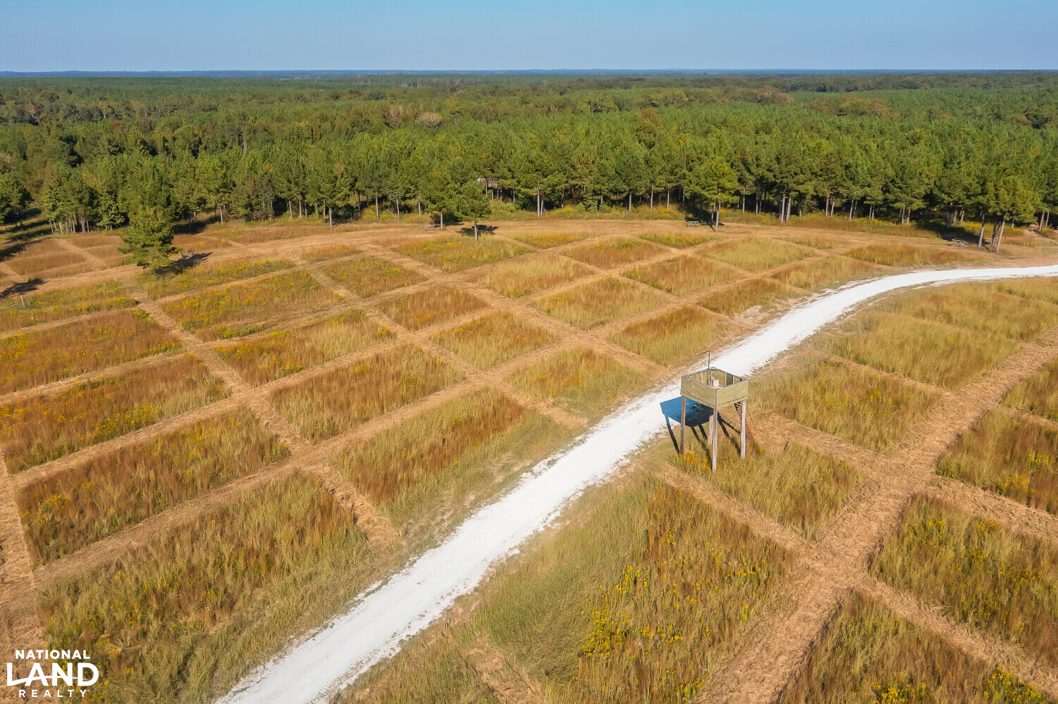 Soggy Bottom Lodge World Class Hunting Fishing & Shooting Resort in
