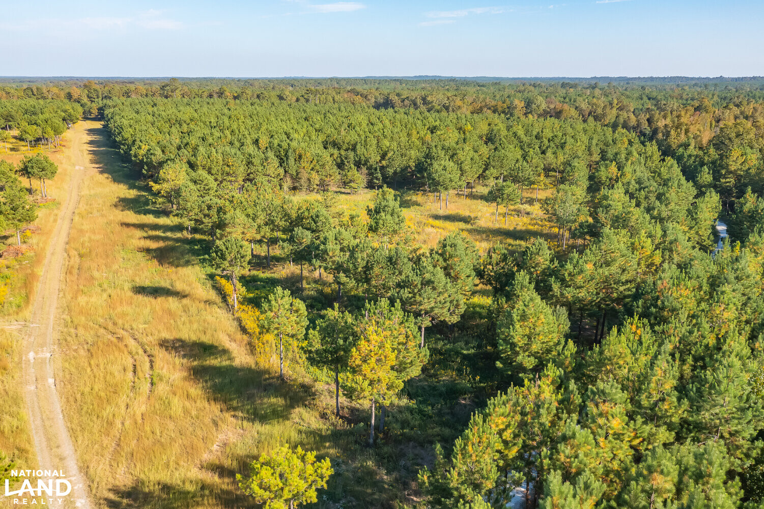 Soggy Bottom Lodge World Class Hunting Fishing & Shooting Resort in