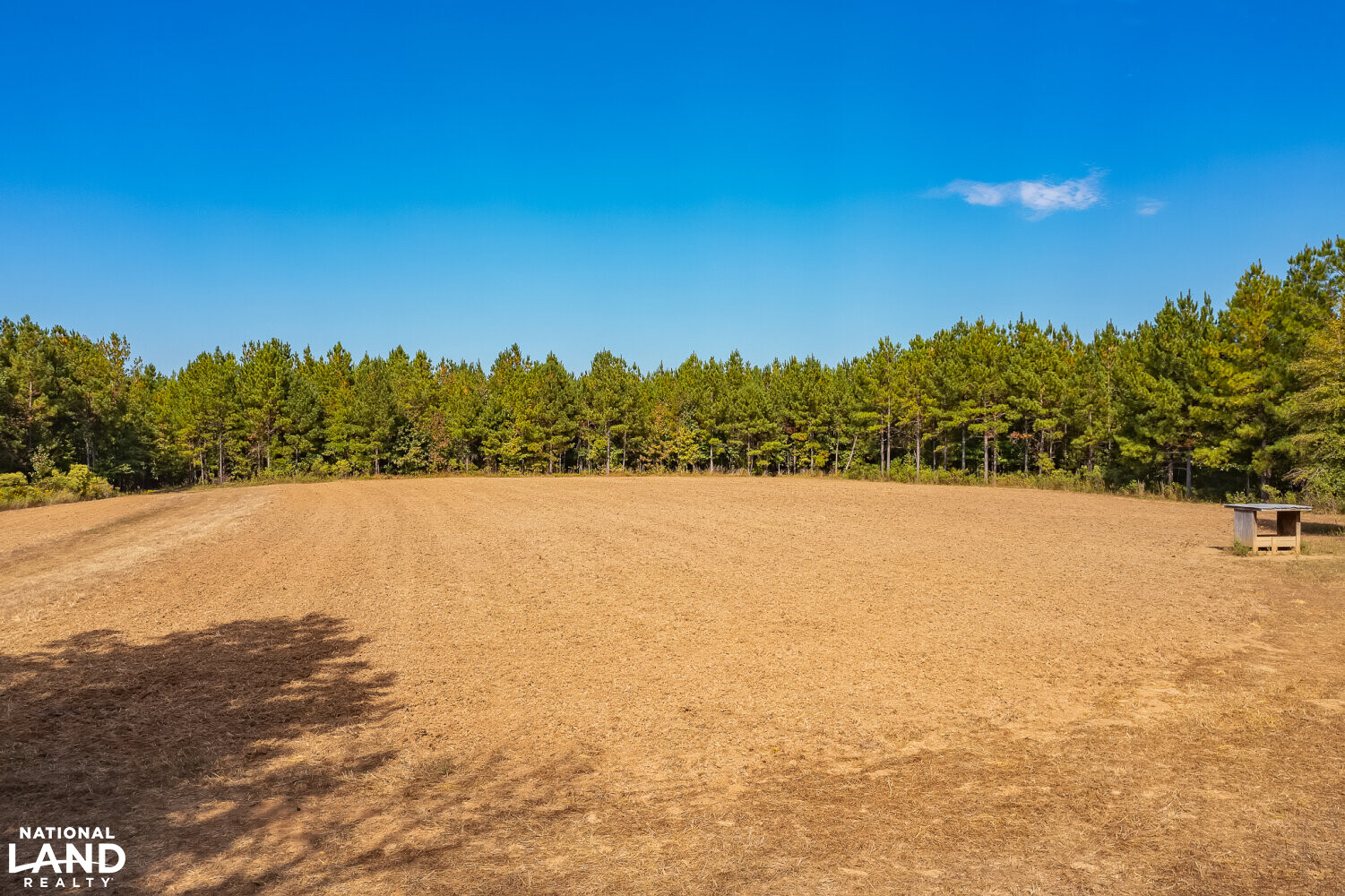 Soggy Bottom Lodge World Class Hunting Fishing & Shooting Resort in