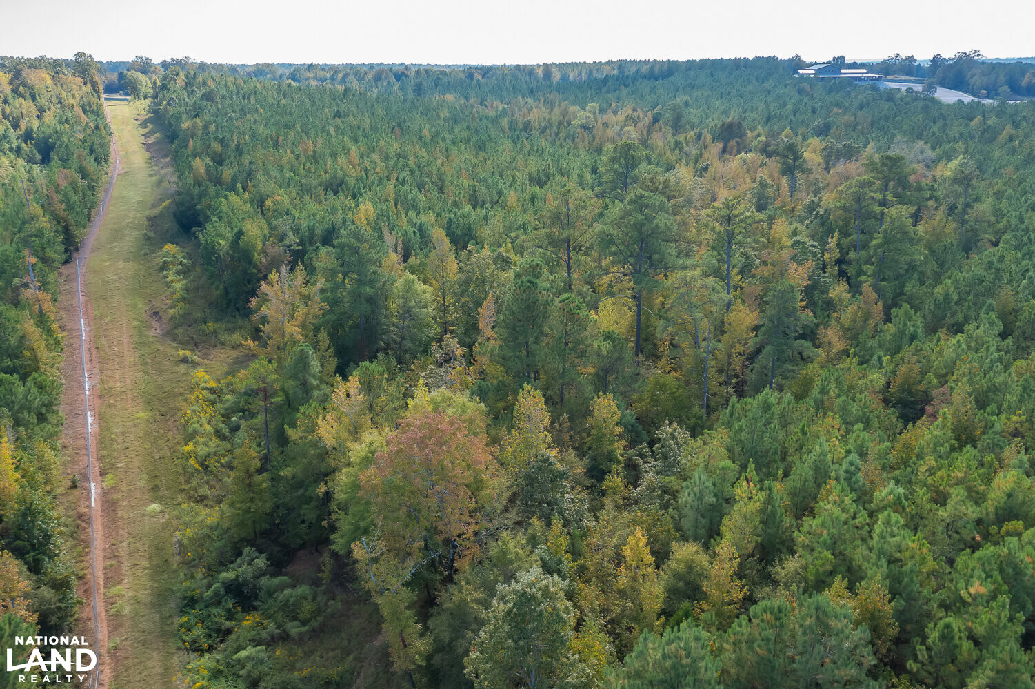 Soggy Bottom Lodge World Class Hunting Fishing & Shooting Resort in