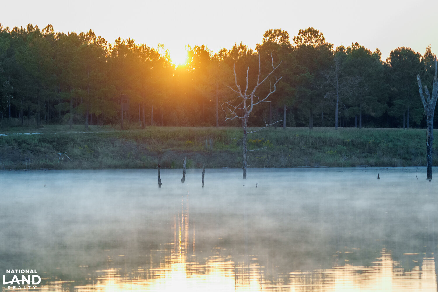 Soggy Bottom Lodge World Class Hunting Fishing & Shooting Resort in