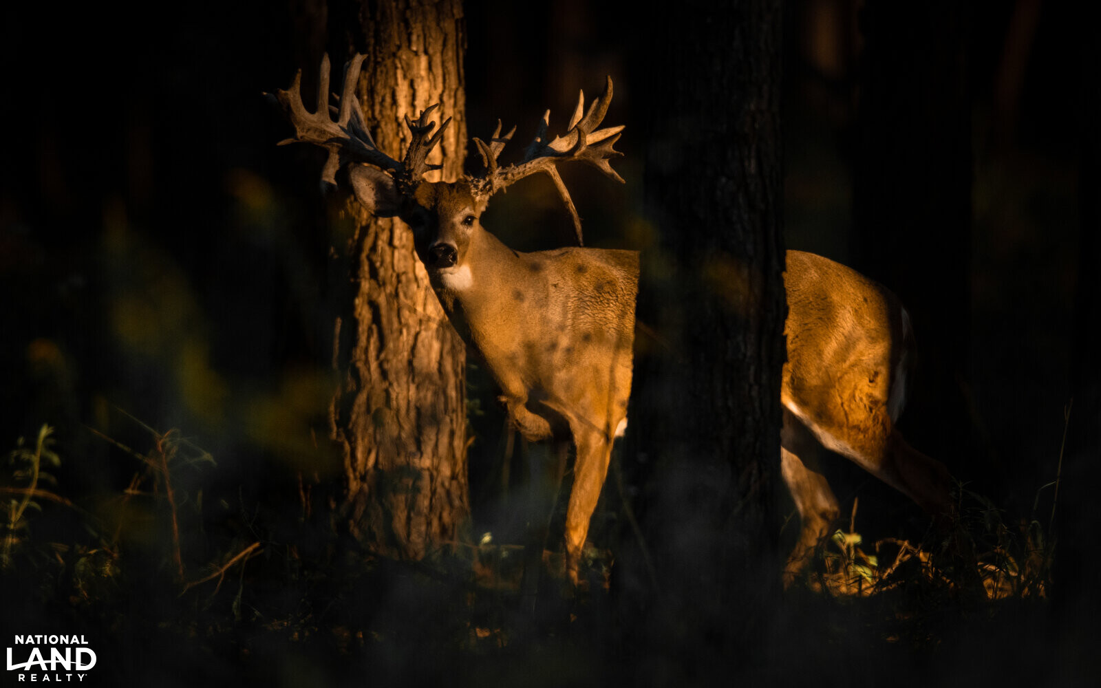 Soggy Bottom Lodge World Class Hunting Fishing & Shooting Resort in