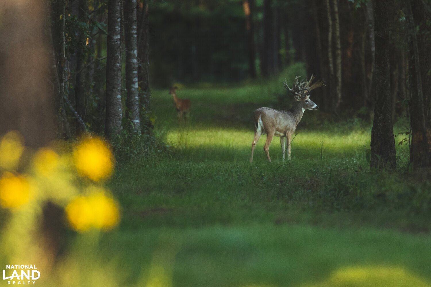 Soggy Bottom Lodge World Class Hunting Fishing & Shooting Resort in