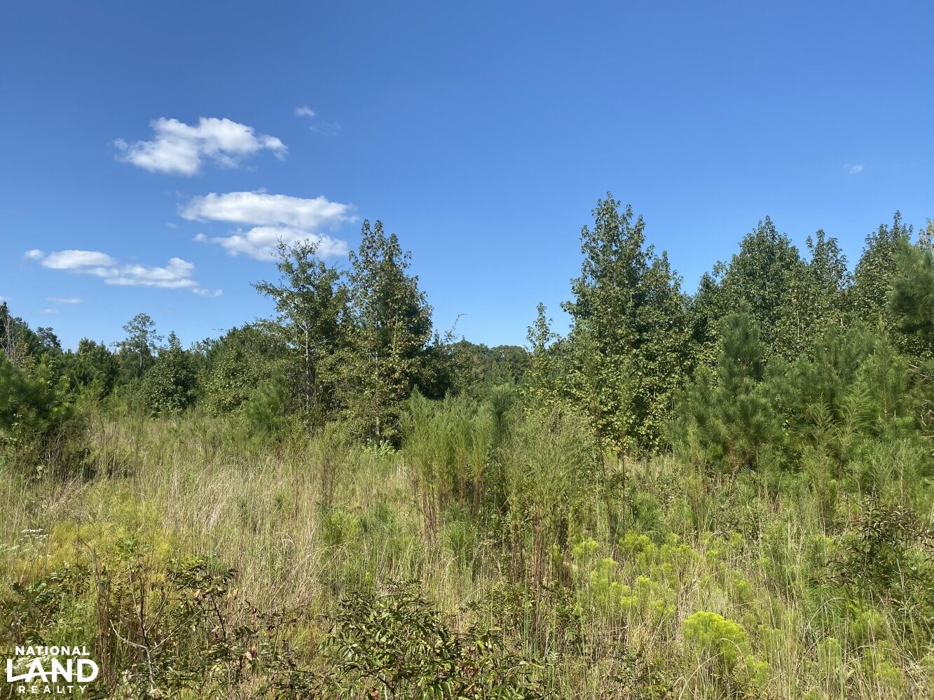 Homesite Hunting and Development in Macon County, Alabama (6 Photos) National Land Realty