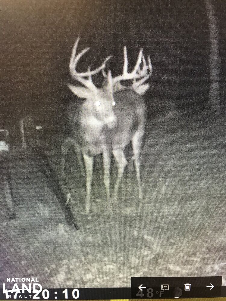 493 Acres and a Perfect Lodge in Wilkinson County, Mississippi (88