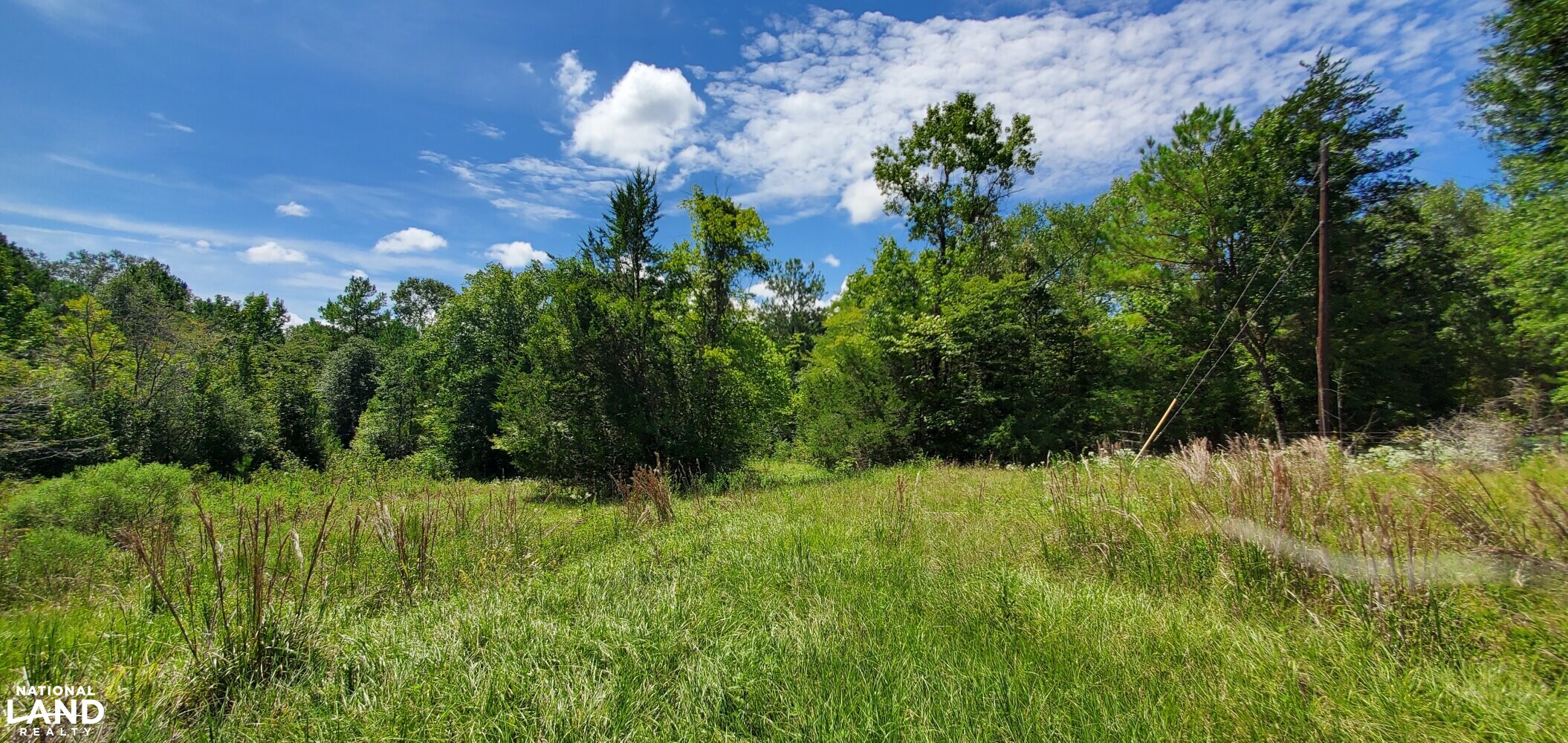 34 Acre Recreational/Hunting Tract in Polk County, Texas (12 Photos) National Land Realty