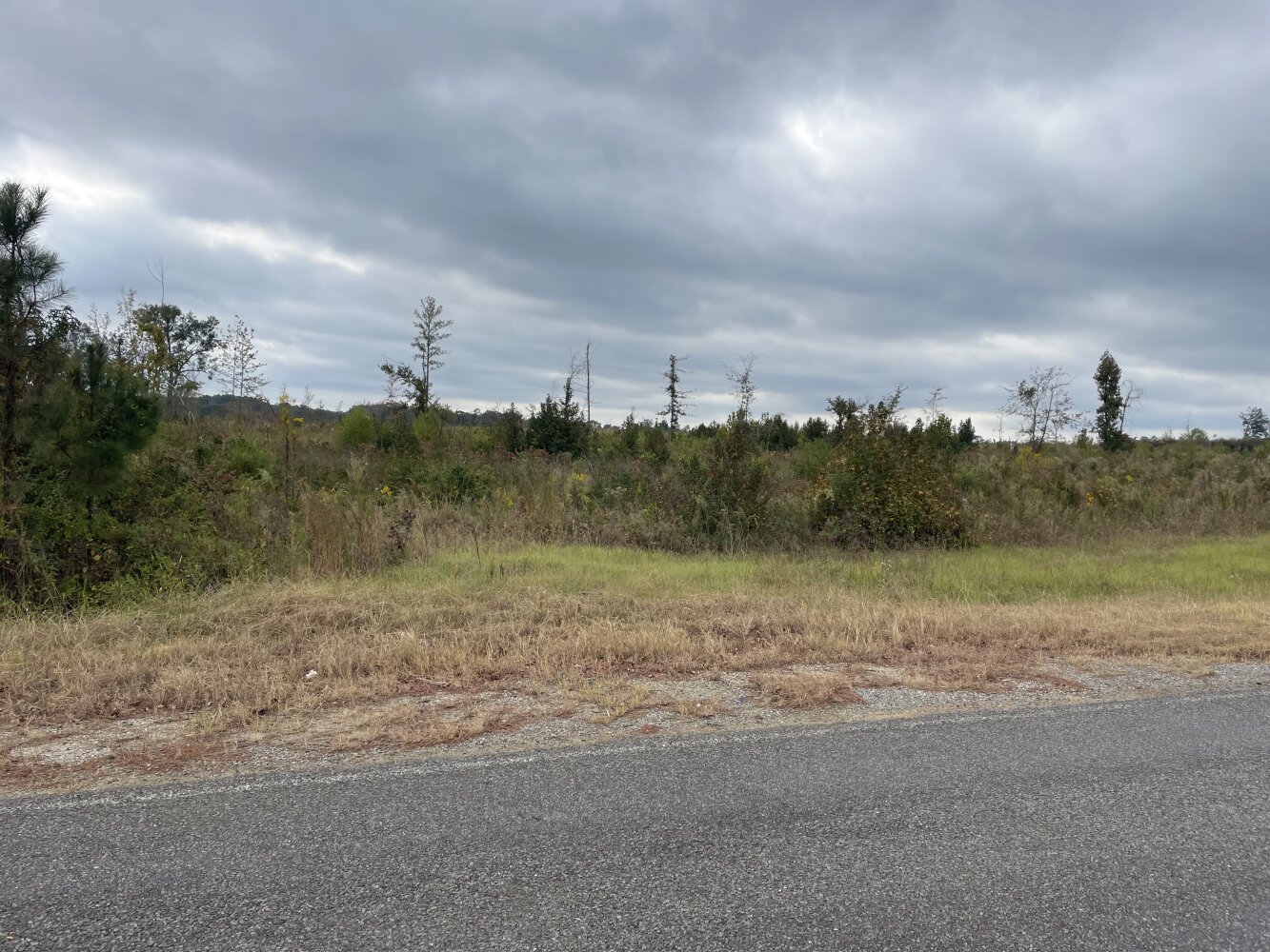 Country Camp House and Land in Leake County, Mississippi (11 Photos