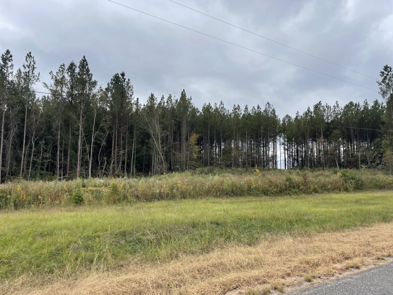 Country Camp House and Land in Leake County, Mississippi (11 Photos