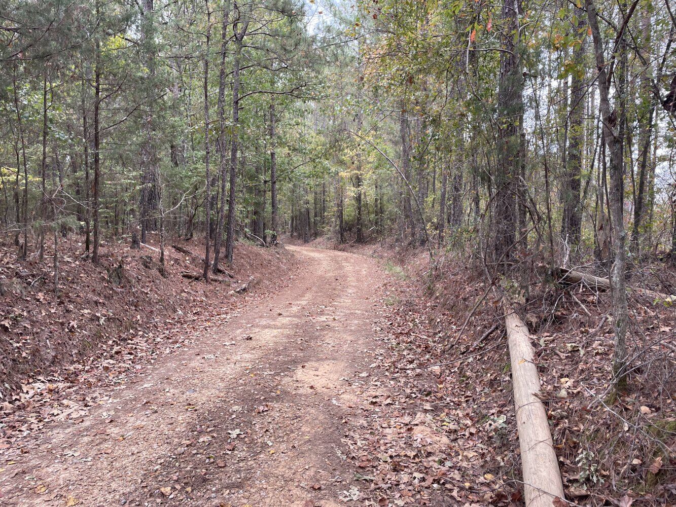 Country Camp House and Land in Leake County, Mississippi (11 Photos