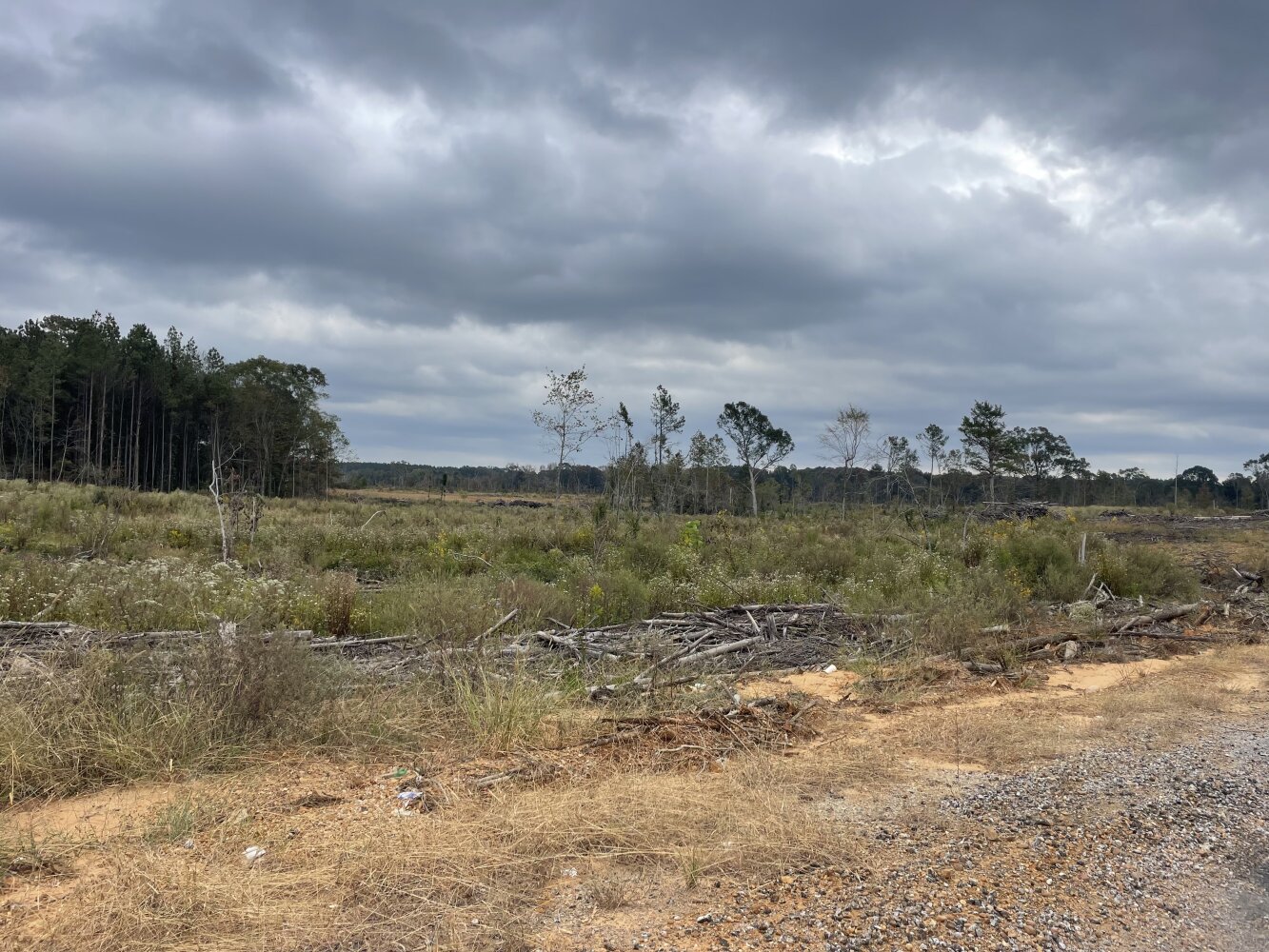 Country Camp House and Land in Leake County, Mississippi (11 Photos