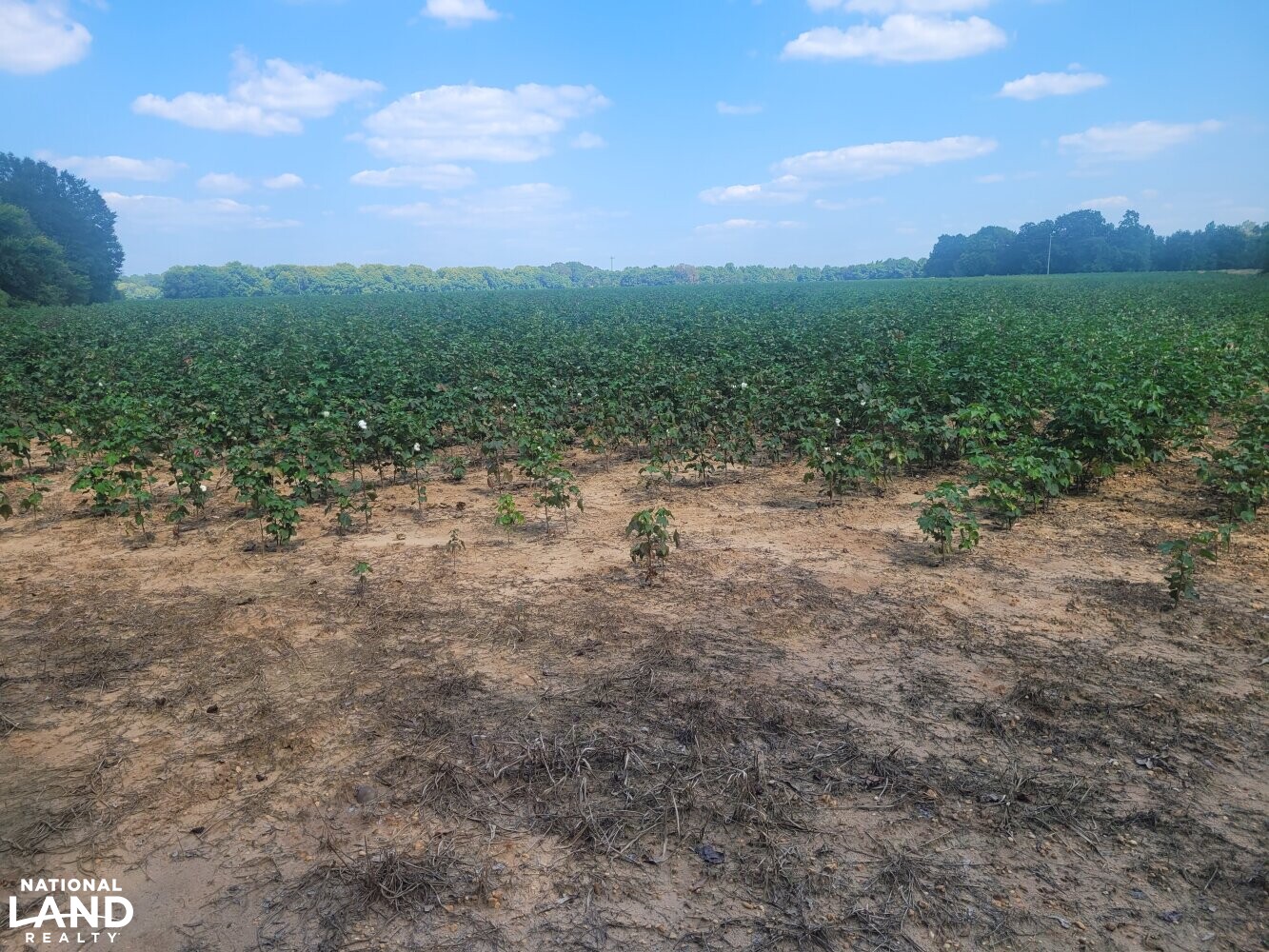 Autaugaville Farm, Hunting Tract, and Timber Production in Autauga