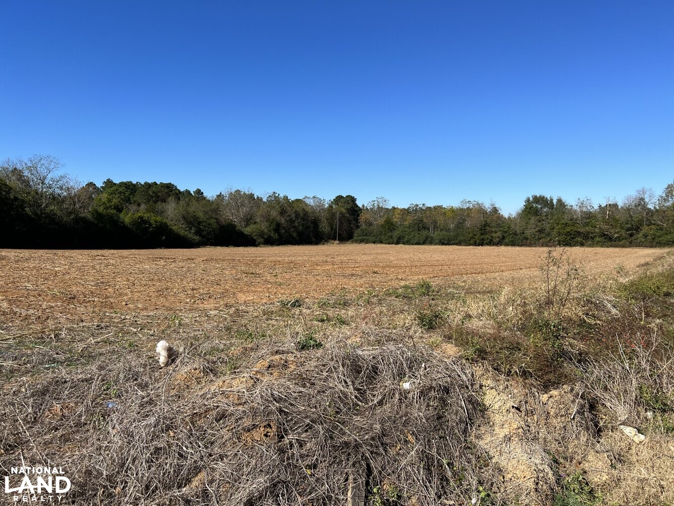 New Hope Homesite in Dale County, Alabama (4 Photos) National Land Realty