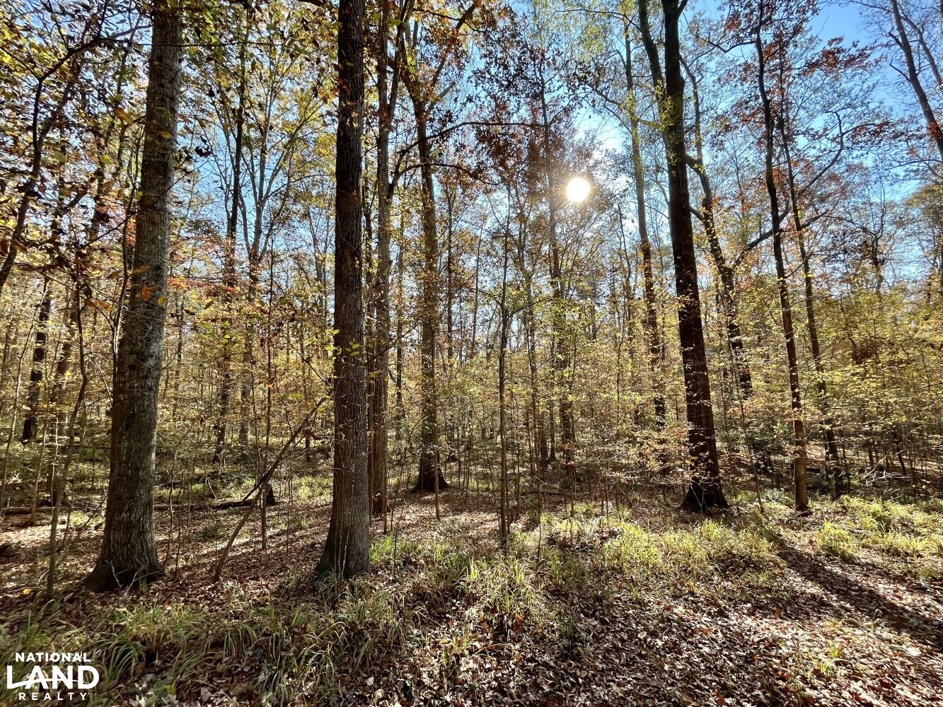 Dunnavant Valley Retreat West Tract in Shelby County, Alabama (27
