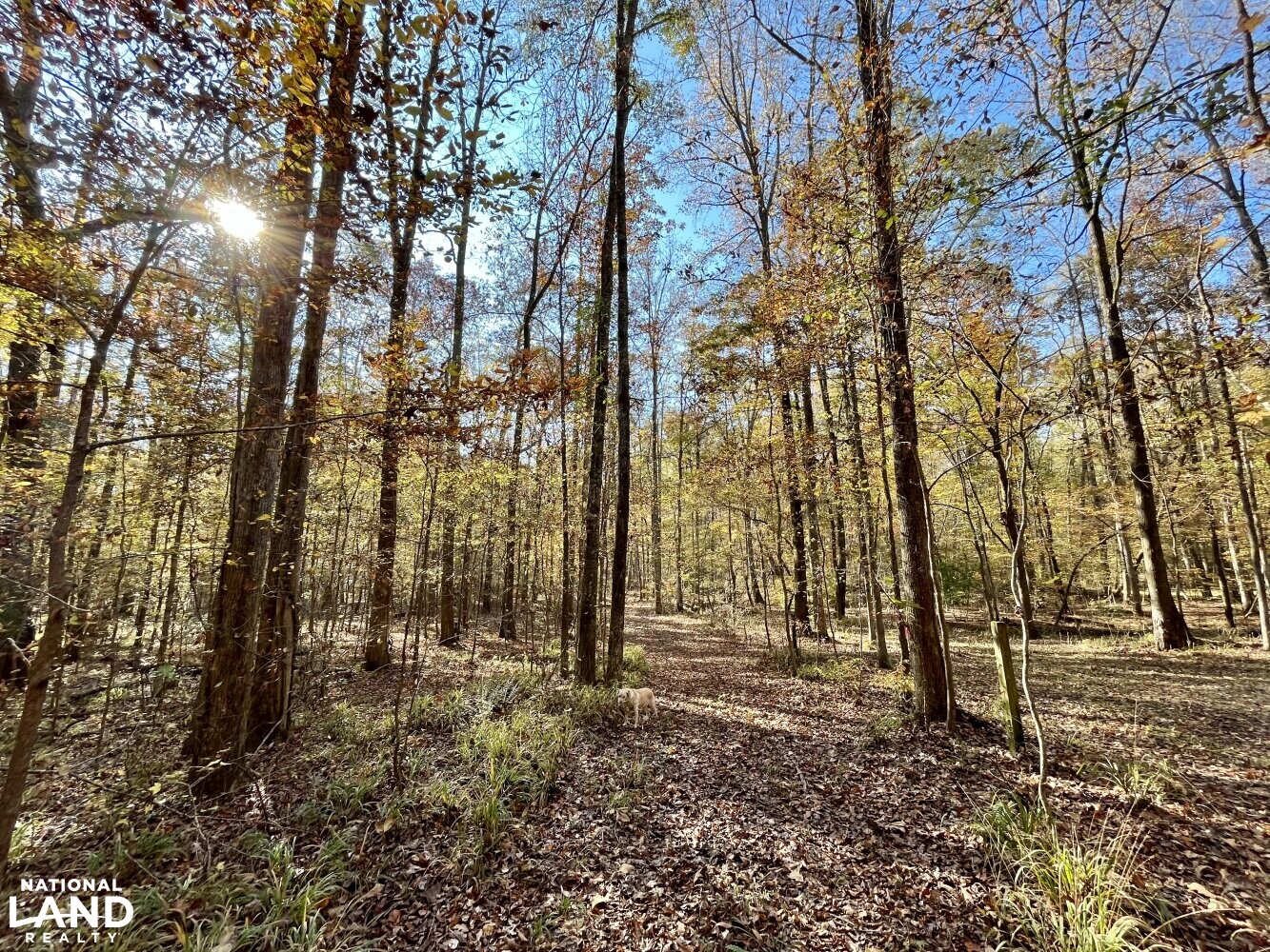 Dunnavant Valley Retreat West Tract in Shelby County, Alabama (27