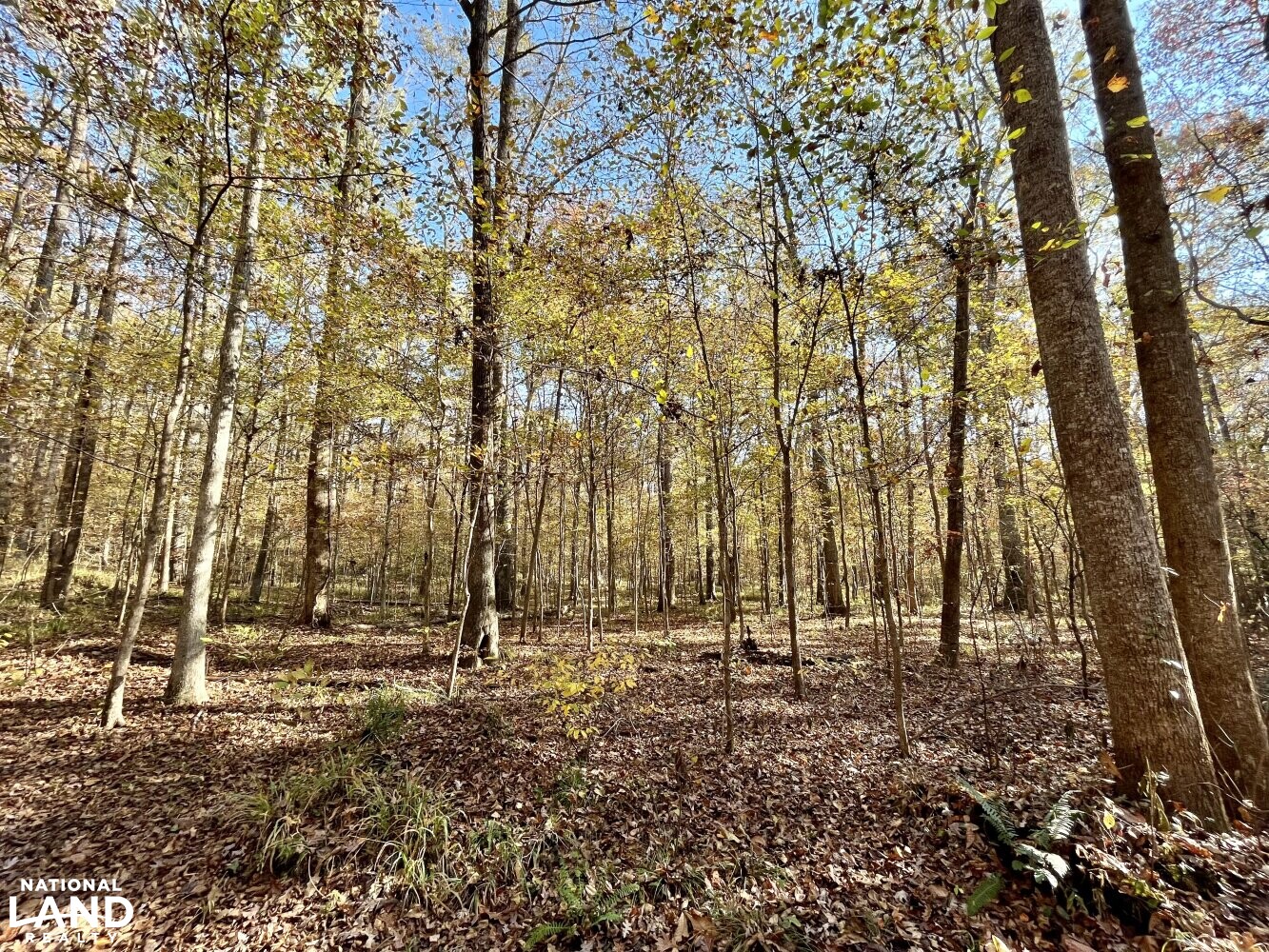 Dunnavant Valley Retreat West Tract in Shelby County, Alabama (27