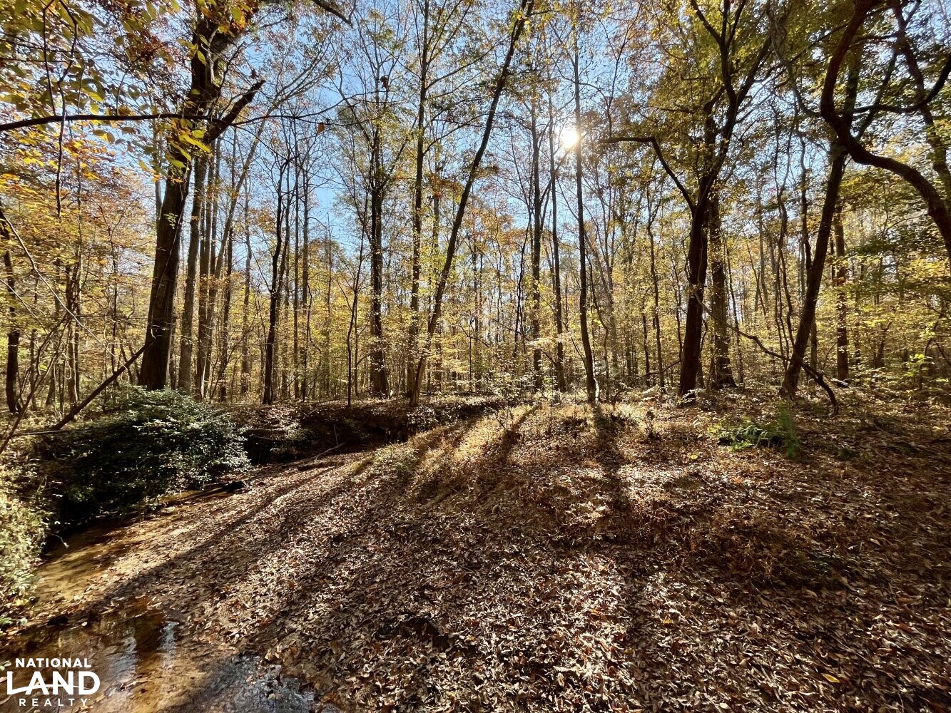 Dunnavant Valley Retreat West Tract in Shelby County, Alabama (27