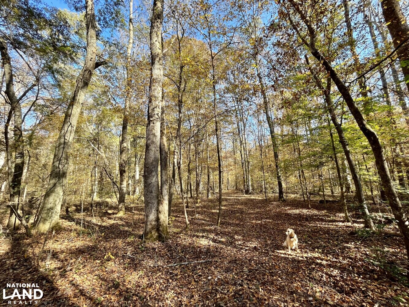 Dunnavant Valley Retreat West Tract in Shelby County, Alabama (27