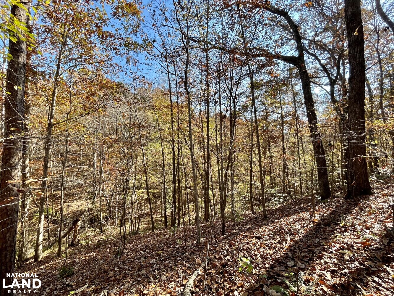 Dunnavant Valley Retreat West Tract in Shelby County, Alabama (27