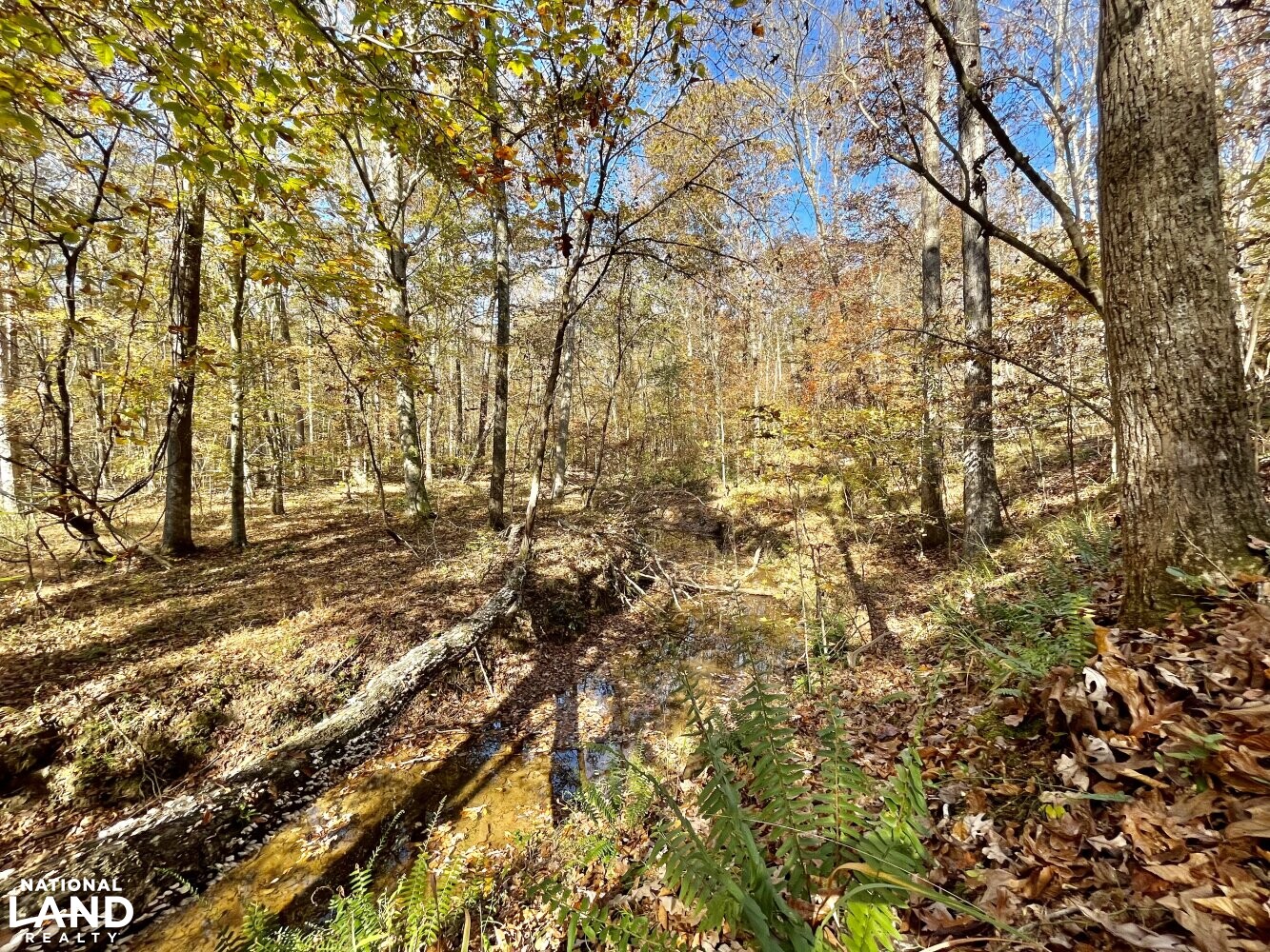 Dunnavant Valley Retreat West Tract in Shelby County, Alabama (27