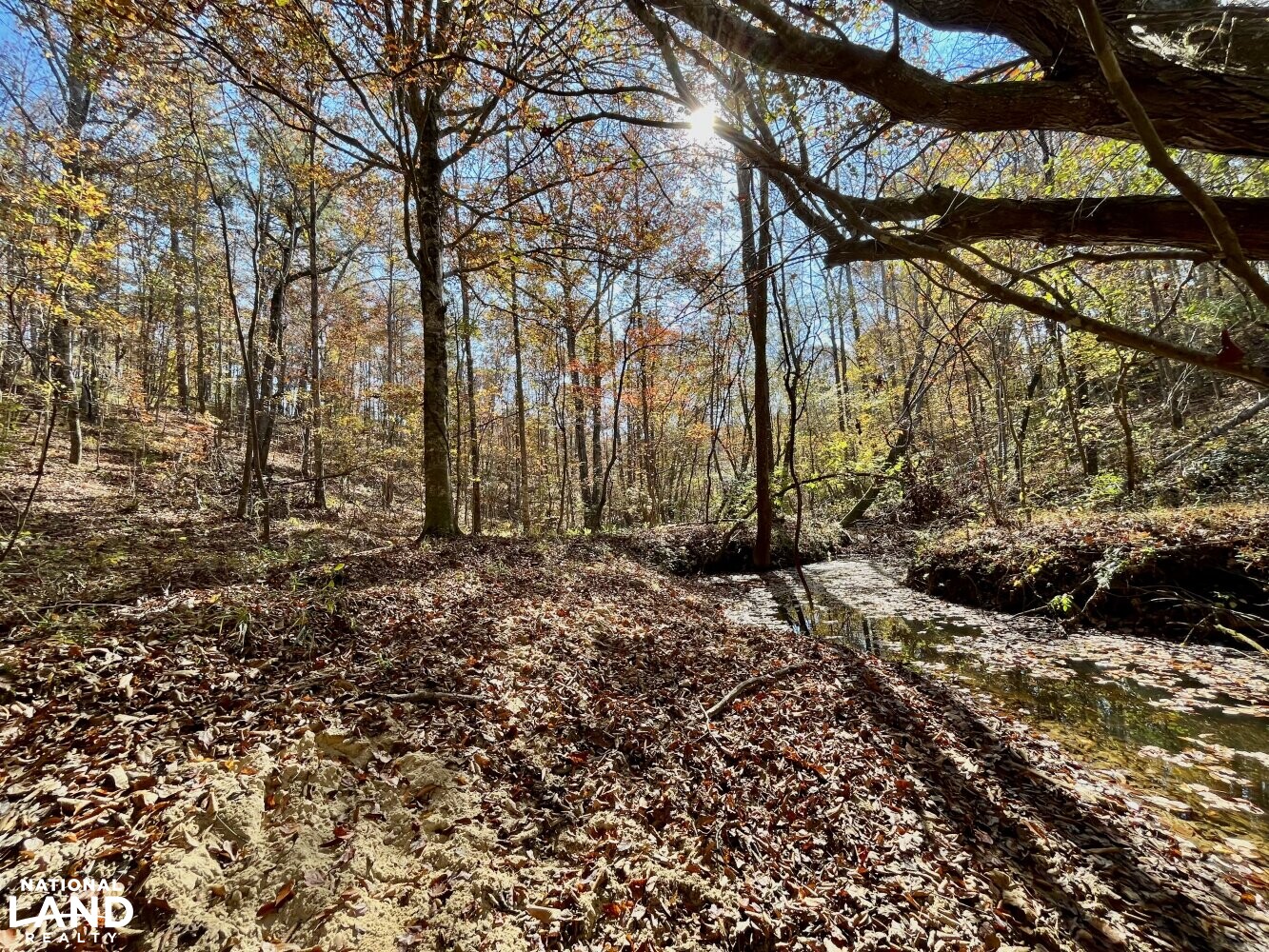 Dunnavant Valley Retreat West Tract in Shelby County, Alabama (27
